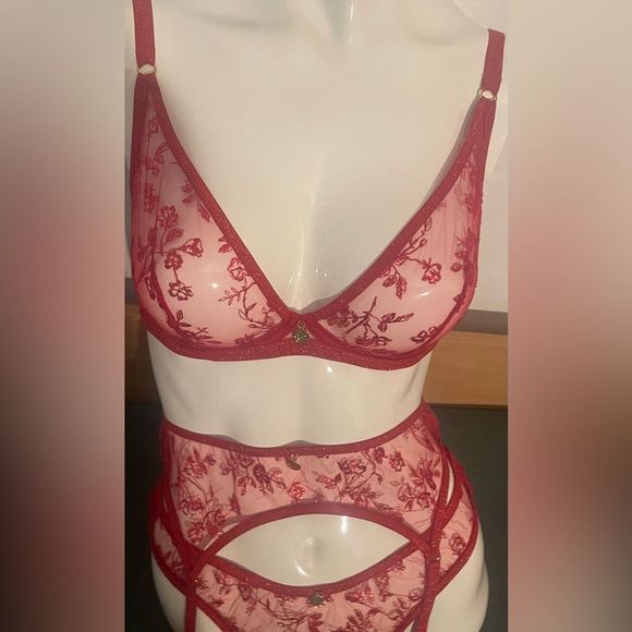 NWT Agent Provocateur Zadi Red 3 Piece Set Bra 32DD, Thong AP4, Suspenders AP4 - Picture 6 of 11
